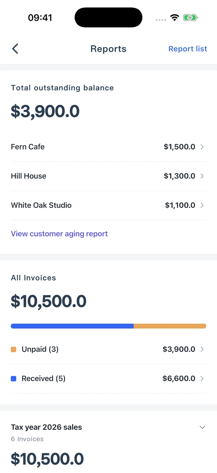 Pocket Invoice — Business reports